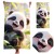 Ręcznik kąpielowy 70x140 Panda 1.jpg