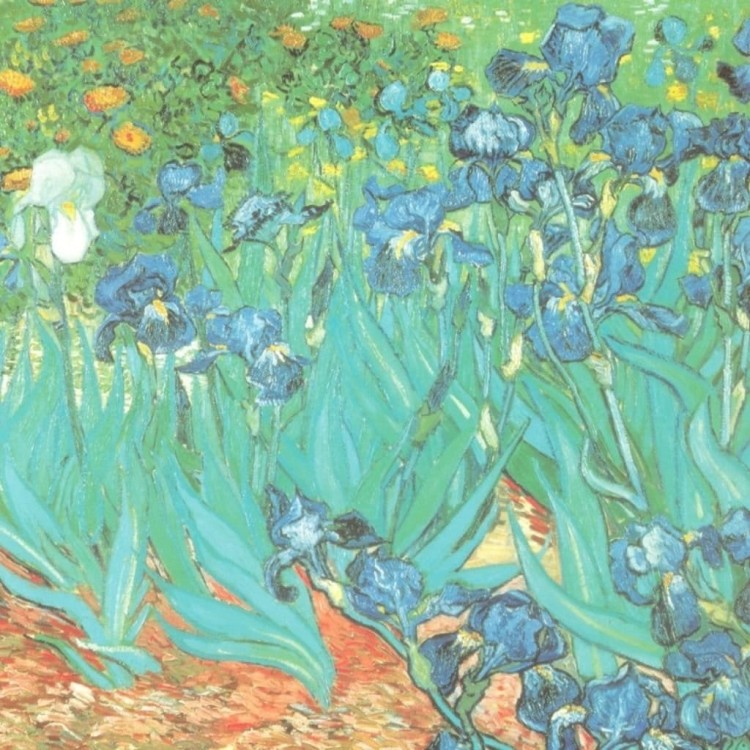 Parasol z podwójną czaszą Von Lilienfeld van Gogh Irysy 2