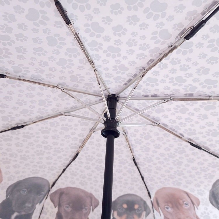 Parasolka składana Von Lilienfeld Szczenięta 4