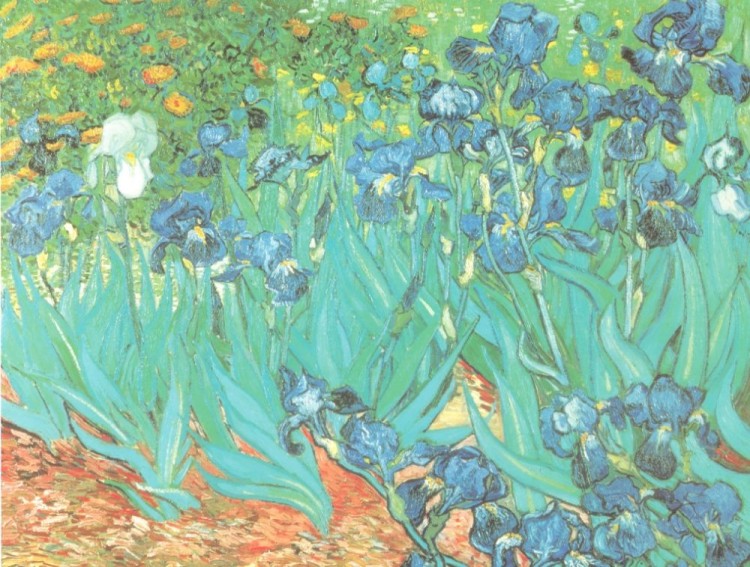 Szal jedwabny Von Lilienfeld Vincent van Gogh Irysy 4
