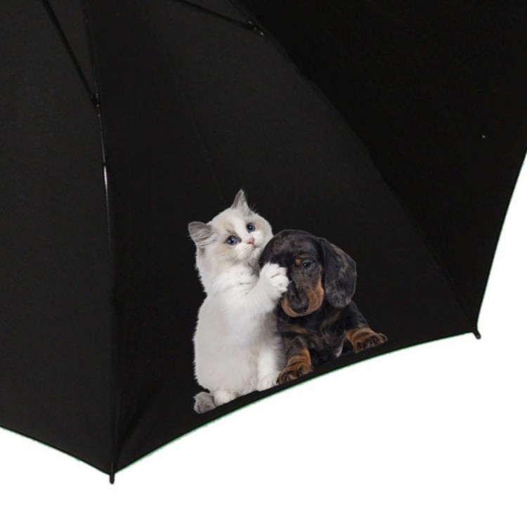 Dowolna grafika full color na parasol - zdjęcie, napis, logo