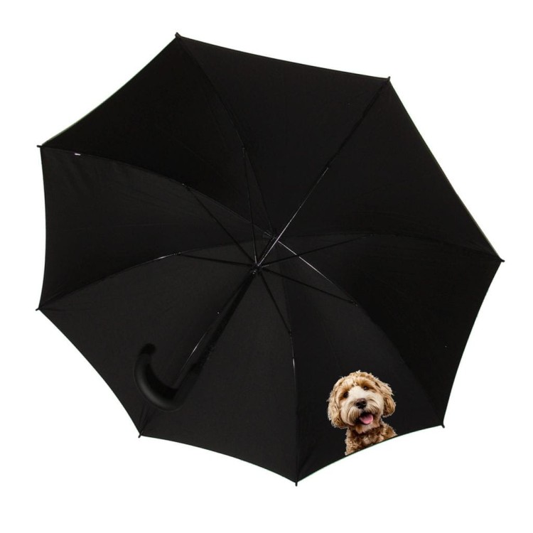 Parasolka ze zdjęciem